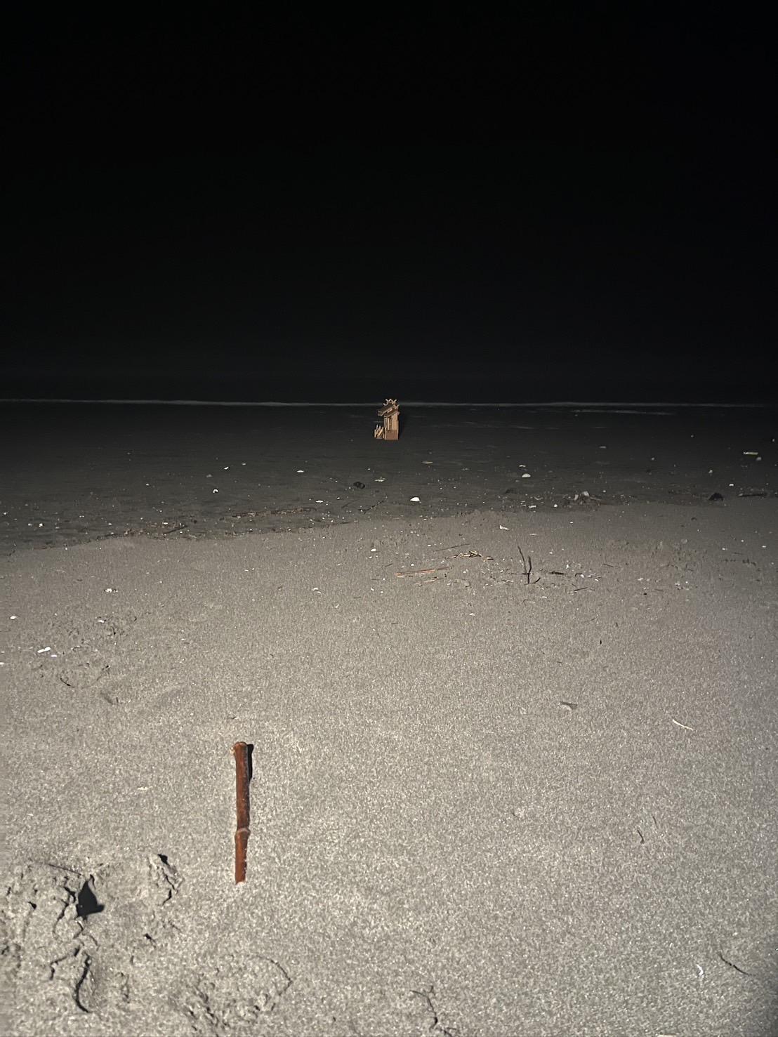 海鳴りが聞こえる気がする